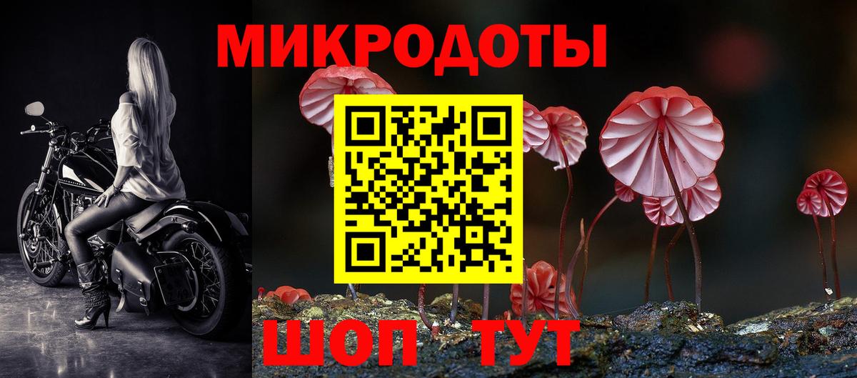 Галлюциногенные грибы Psilocybine cubensis  Галлюциногенные грибы GOLDEN TEACHER  Будённовск  Вход с VPN 