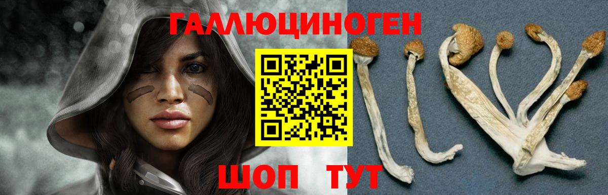 Галлюциногенные грибы MAGIC MUSHROOMS Будённовск