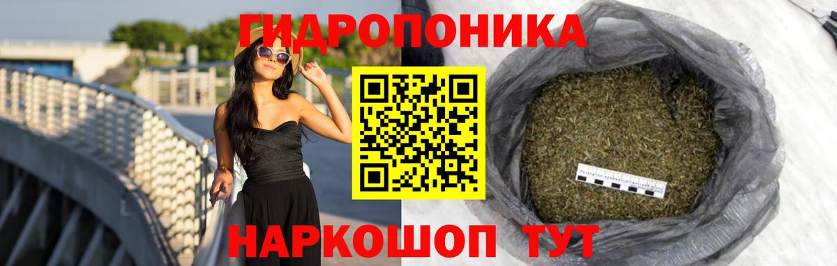 Шишки марихуана марихуана  МАРИХУАНА THC 21%  МАРИХУАНА ГИДРОПОН  Будённовск  Вход с VPN 